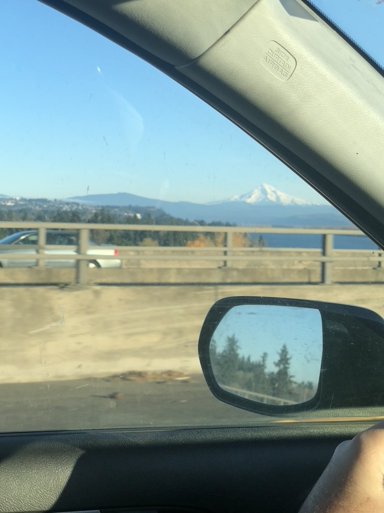 War Hippy + Baglady Tour 2024