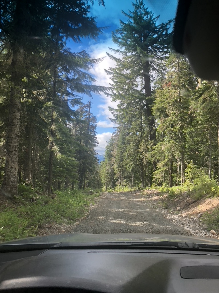 (on a sick one) - NOISE TOUR - heady eug to murder bridge, we strengthen bonds, connect new dots and chill hard - feat The Zero Collective